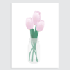 hollandse tulpen roze poster