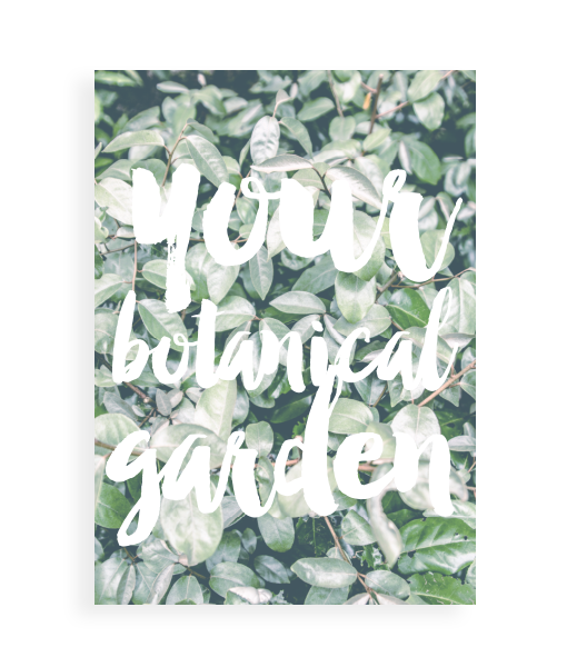 botanische poster planten