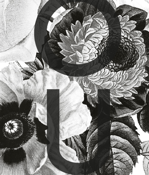 Poster-liefde-zwartwit-bloemen-detail-vtwonen-inspiratie