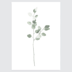 botanische poster minimal