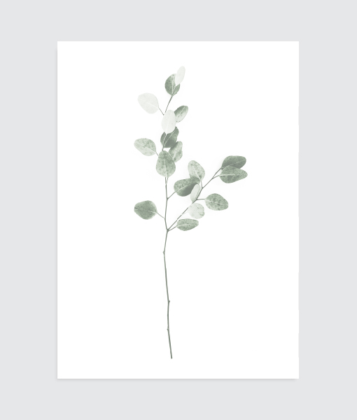 botanische poster minimal