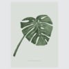 monstera-vingerplant-botanische-poster