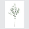 botanische-poster-minimalistisch