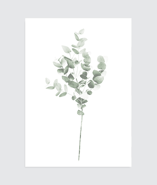 botanische-poster-minimalistisch